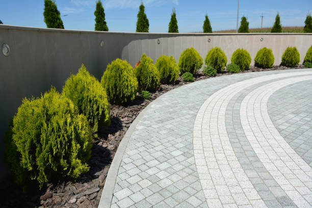 Best Driveway Paving Contractor  in Metamora, IL